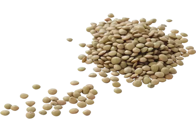 Lentilles vertes 500g caisse 15pc